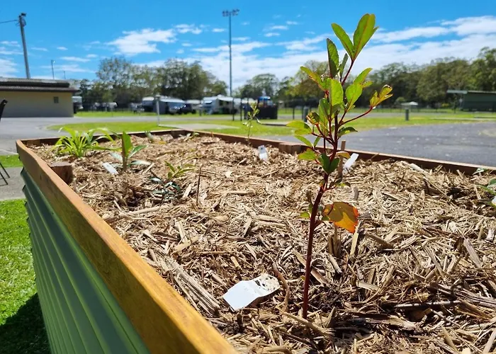 Cheap hotel: Reflections Coffs Harbour - Holiday Park